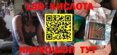 spice Камышлов
