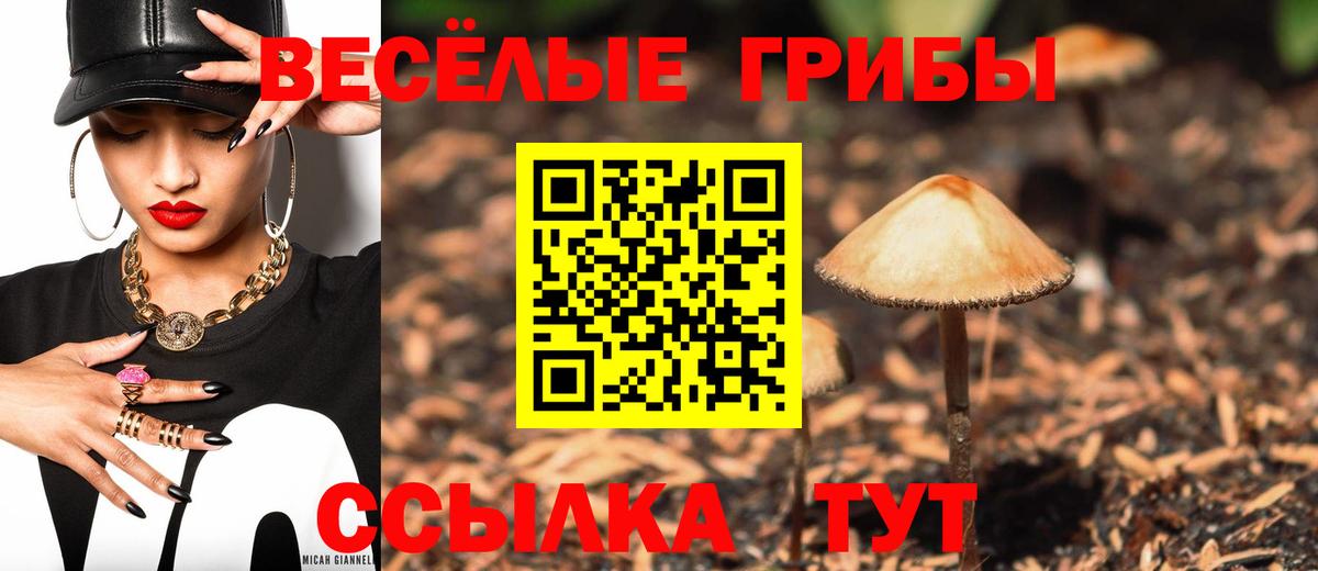 Киселёвск  Галлюциногенные грибы Psilocybe  Вход с VPN 