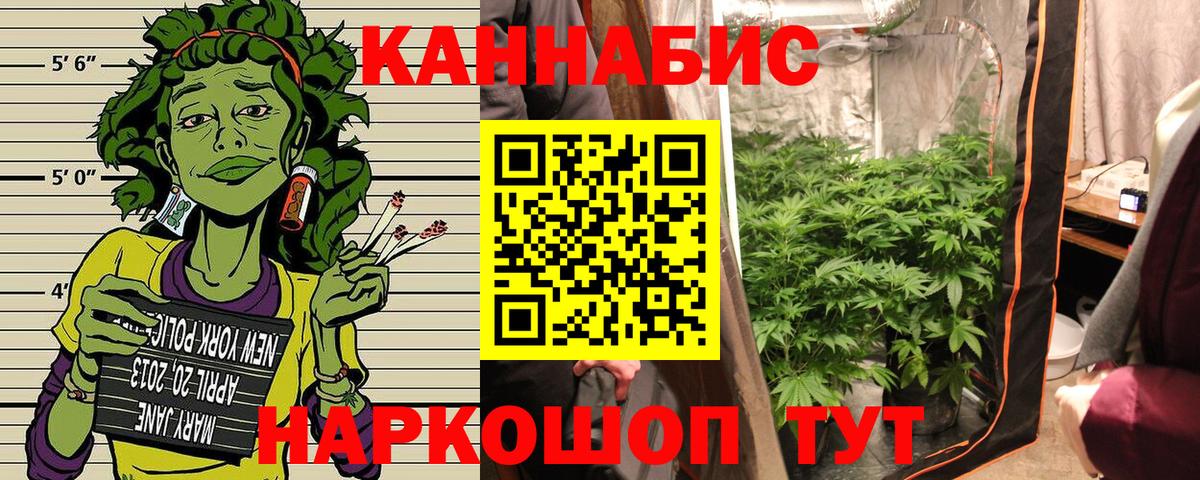 Марихуана OG Kush Киселёвск
